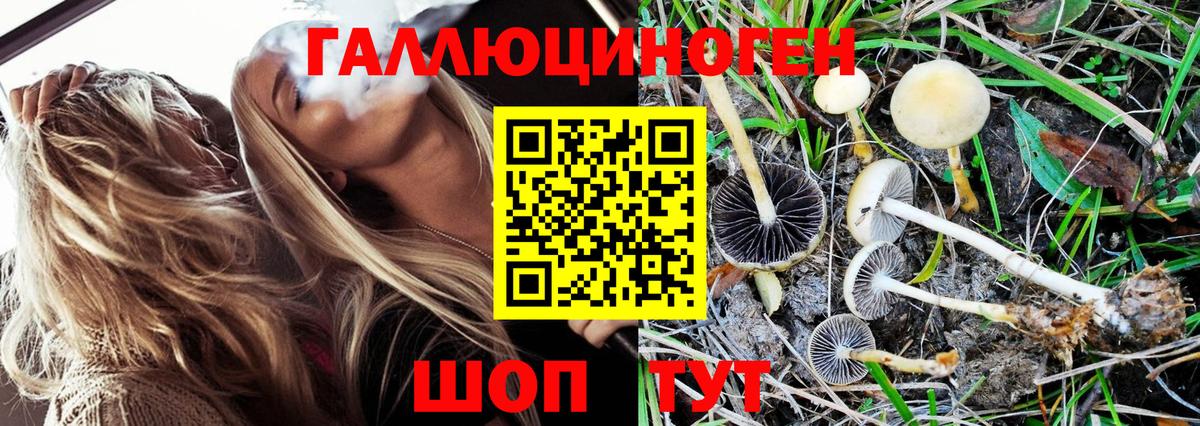 Галлюциногенные грибы Magic Shrooms Беслан