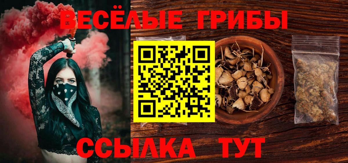 Псилоцибиновые грибы Cubensis Беслан