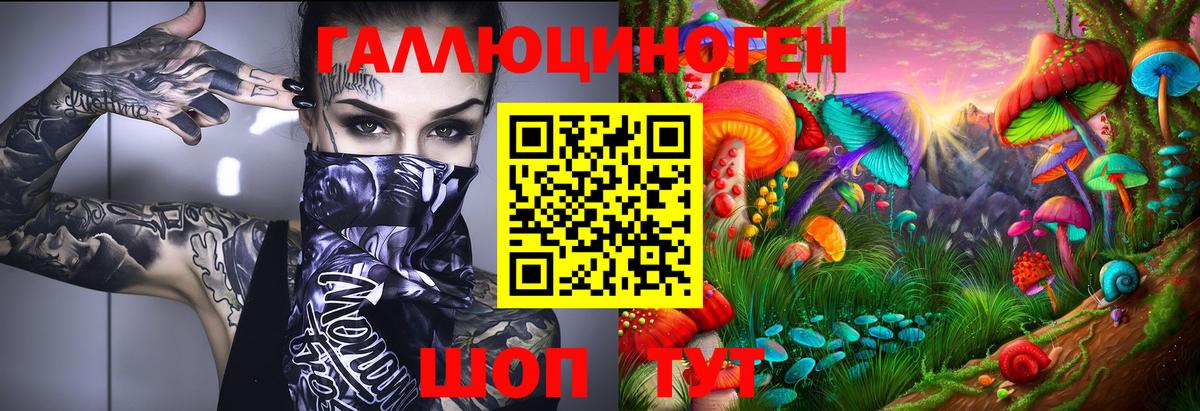 Псилоцибиновые грибы Cubensis  Вход с VPN  где найти   Беслан 