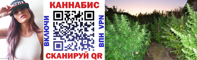 Конопля конопля  Беслан 
